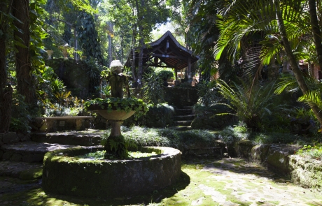 Cochicho-Sede-Fontes